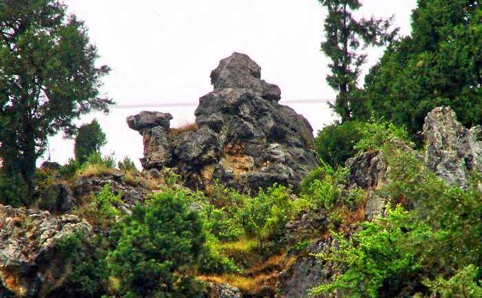 Nature and Culture Intertwined